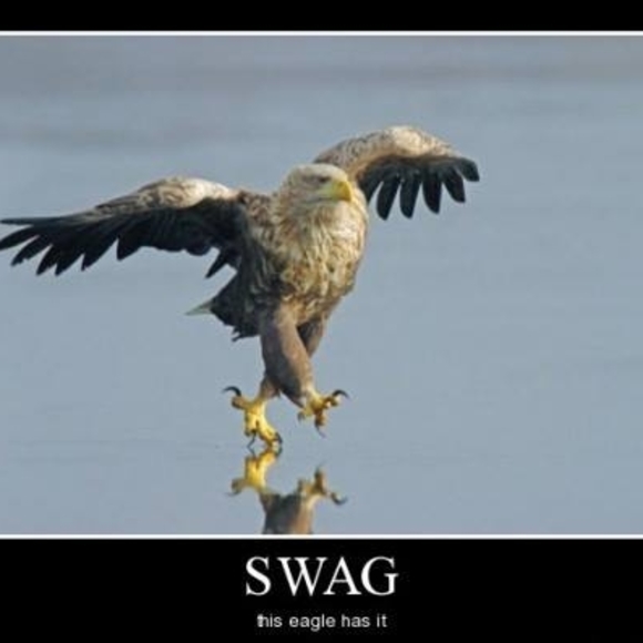 Meet your Posher, Jeffrey - Picture 1 of 1